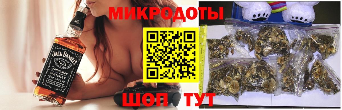 Псилоцибиновые грибы Cubensis Елец